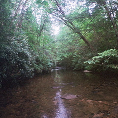 Laurel Fork Creek, Big South Fork country